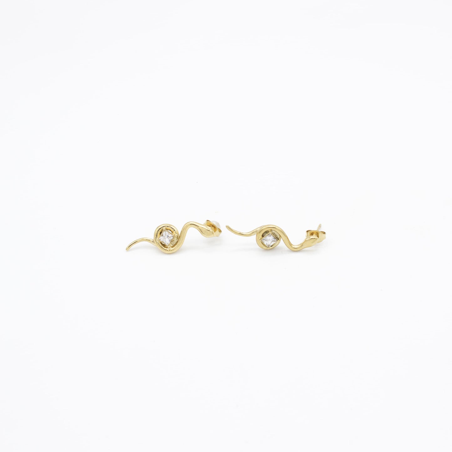Broquel de Serpiente y Zirconia Acero