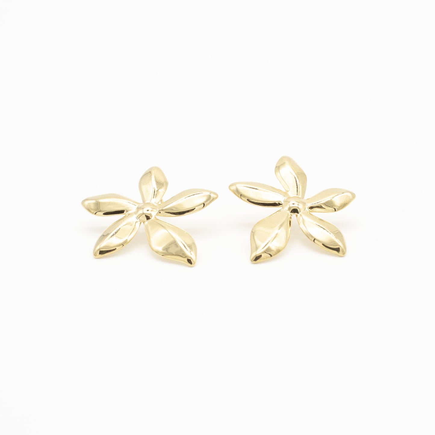 Arracadas de Flor Acero