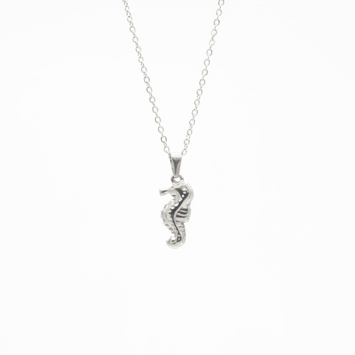 Collar de Caballito de Mar Acero