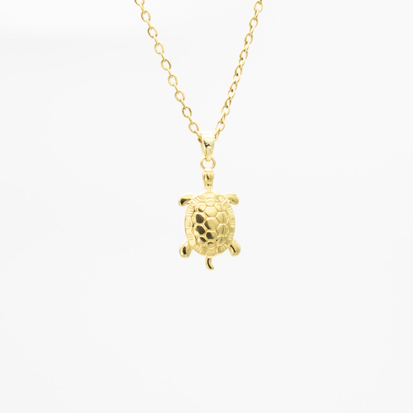 Collar de Tortuga Acero