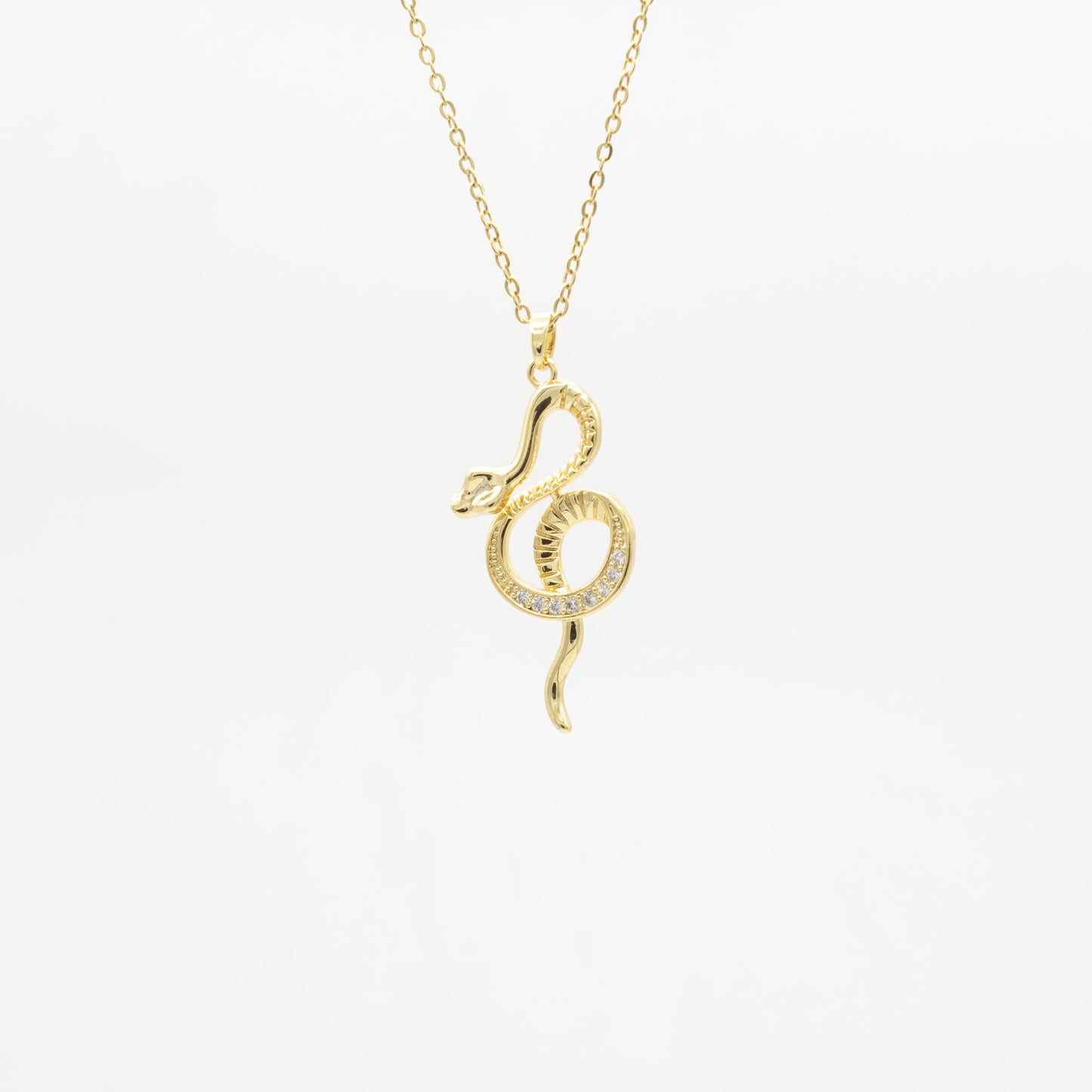 Collar de Serpiente y Zirconia Chapa