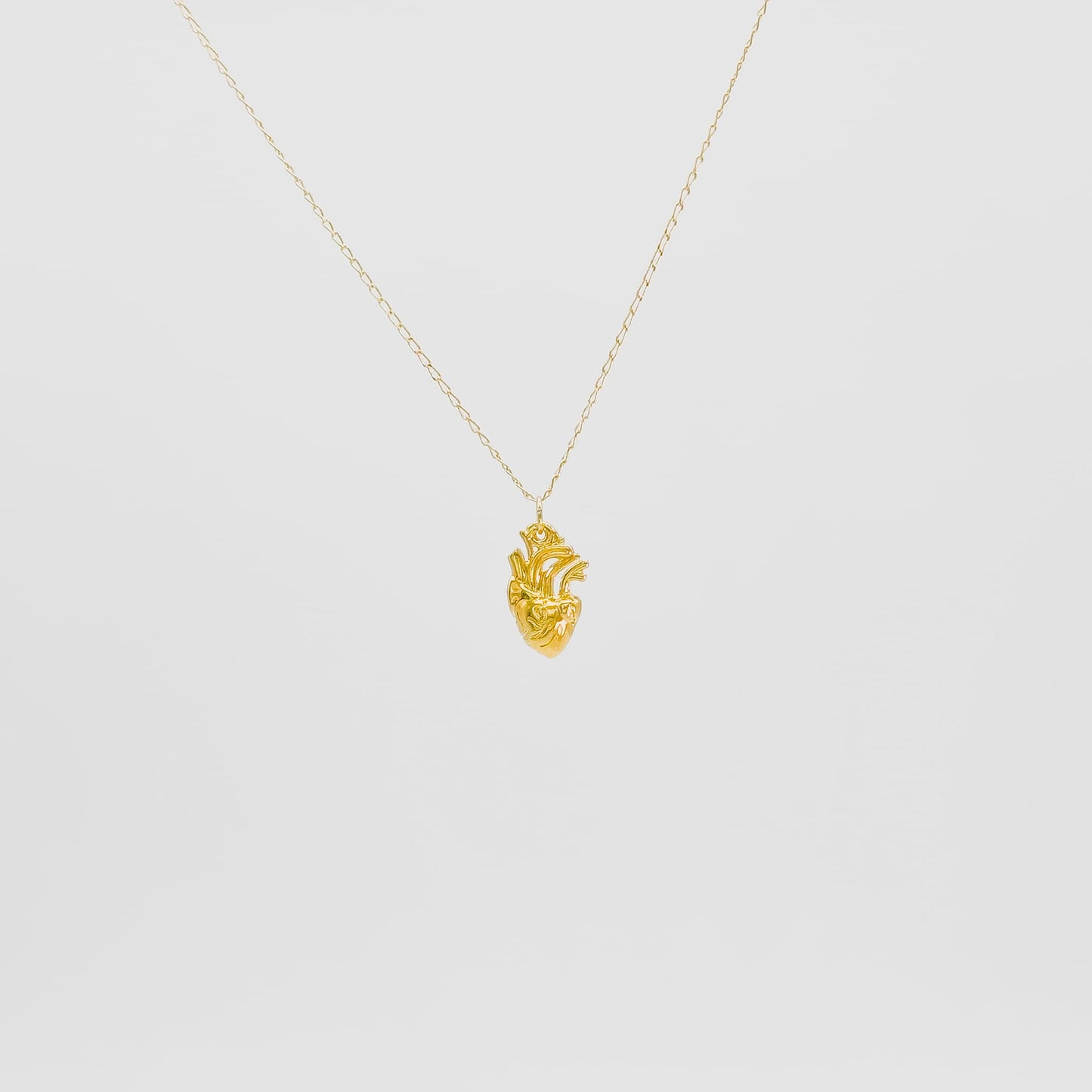 Collar de Corazón Anatómico