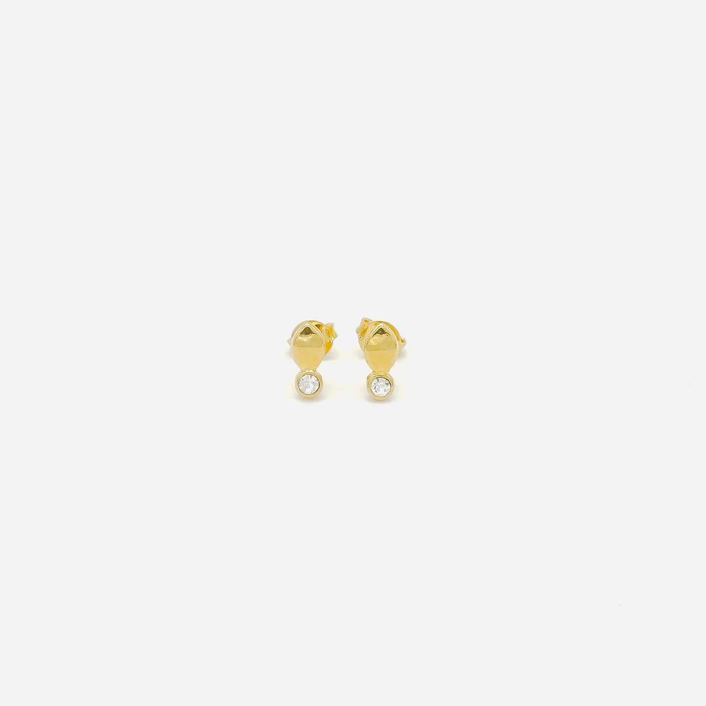 Broquel de Gota y Zirconia