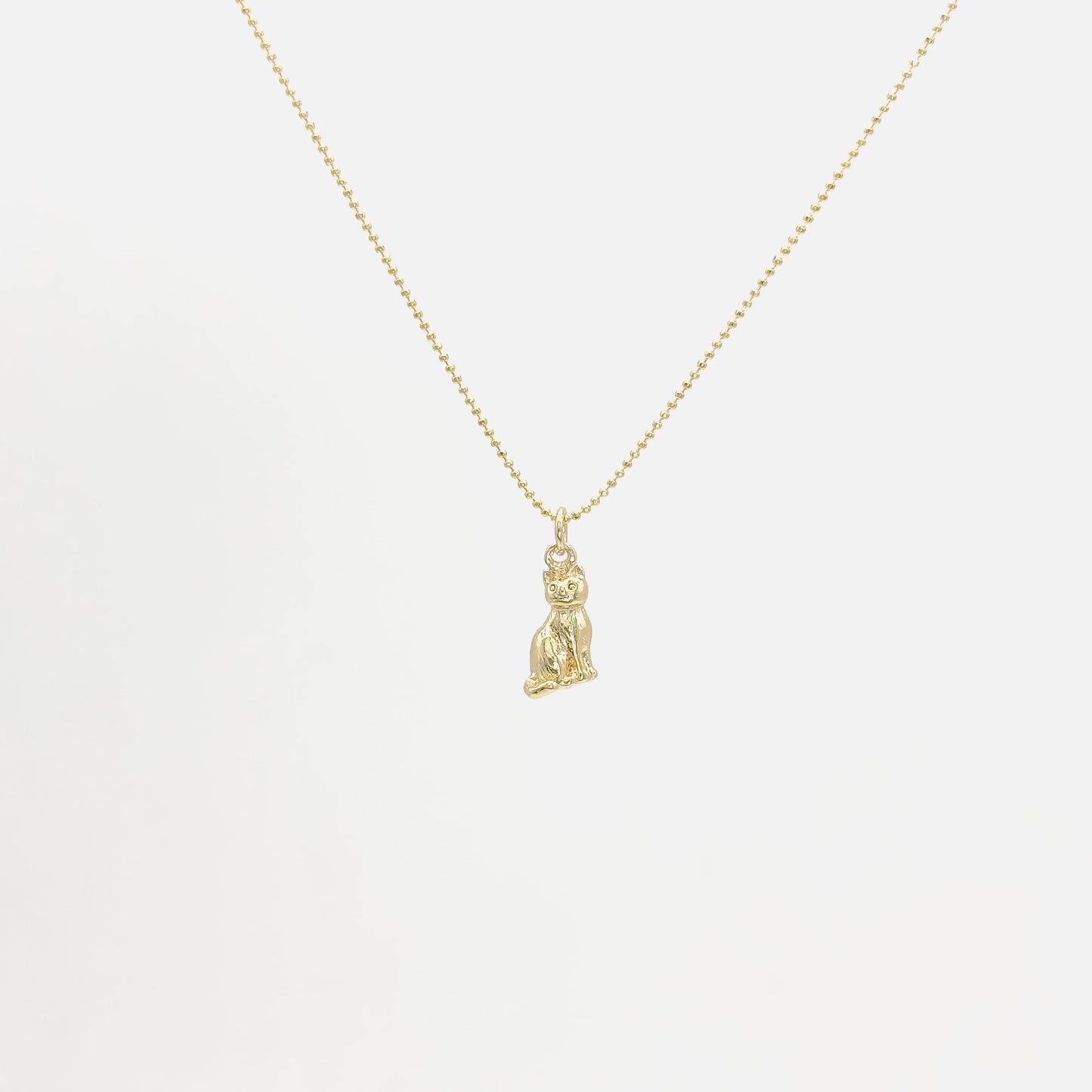 Collar de Gato