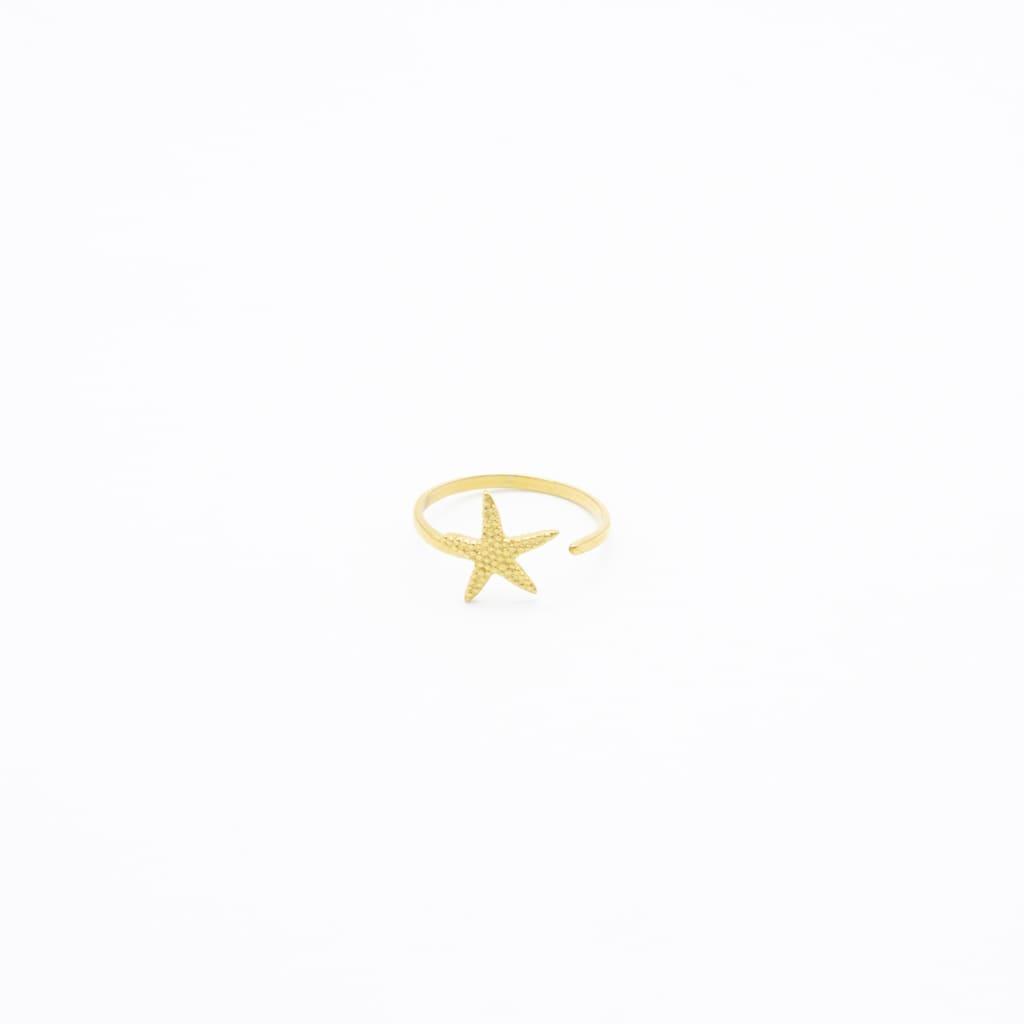 Anillo de Estrella de Mar Acero