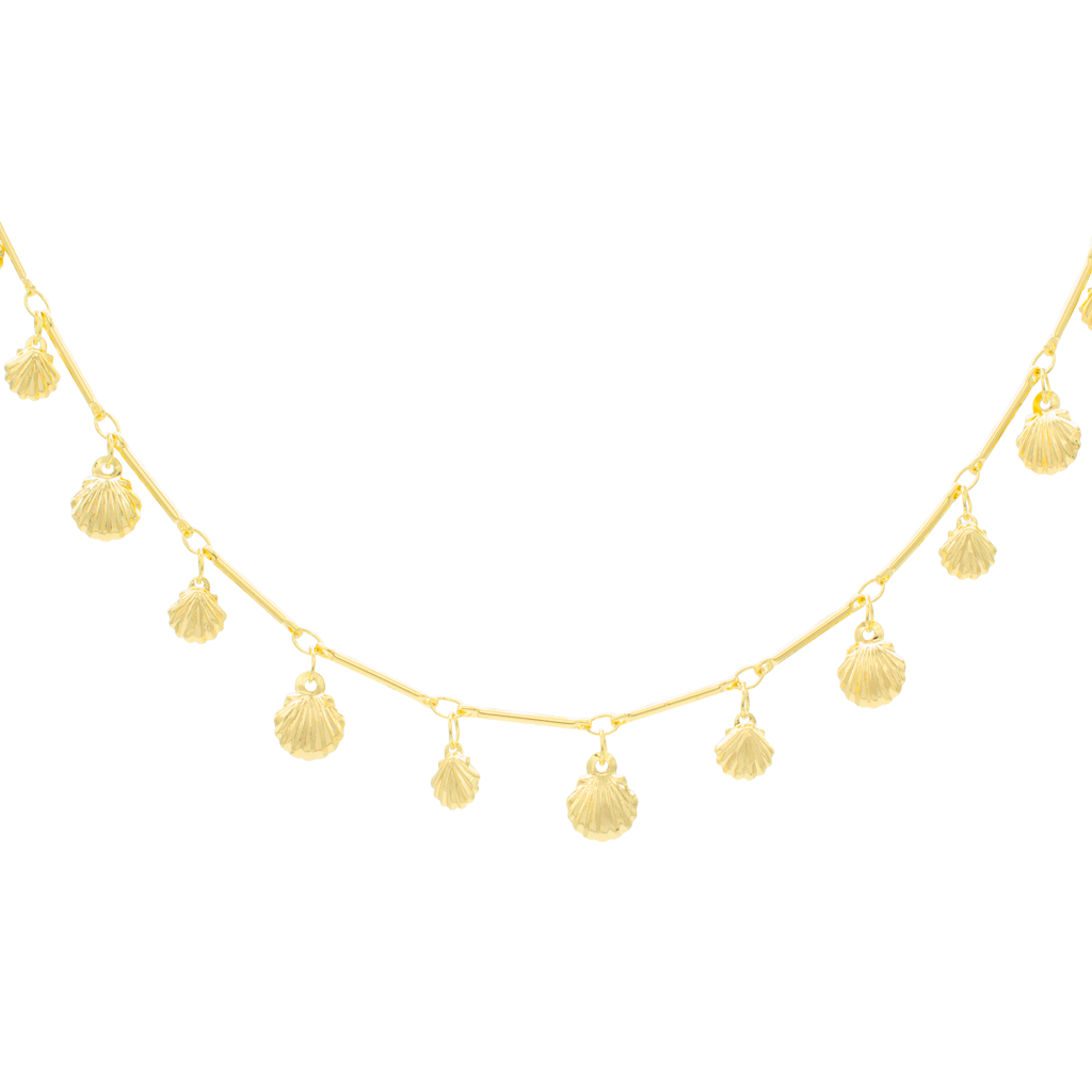 Gargantilla de Conchitas