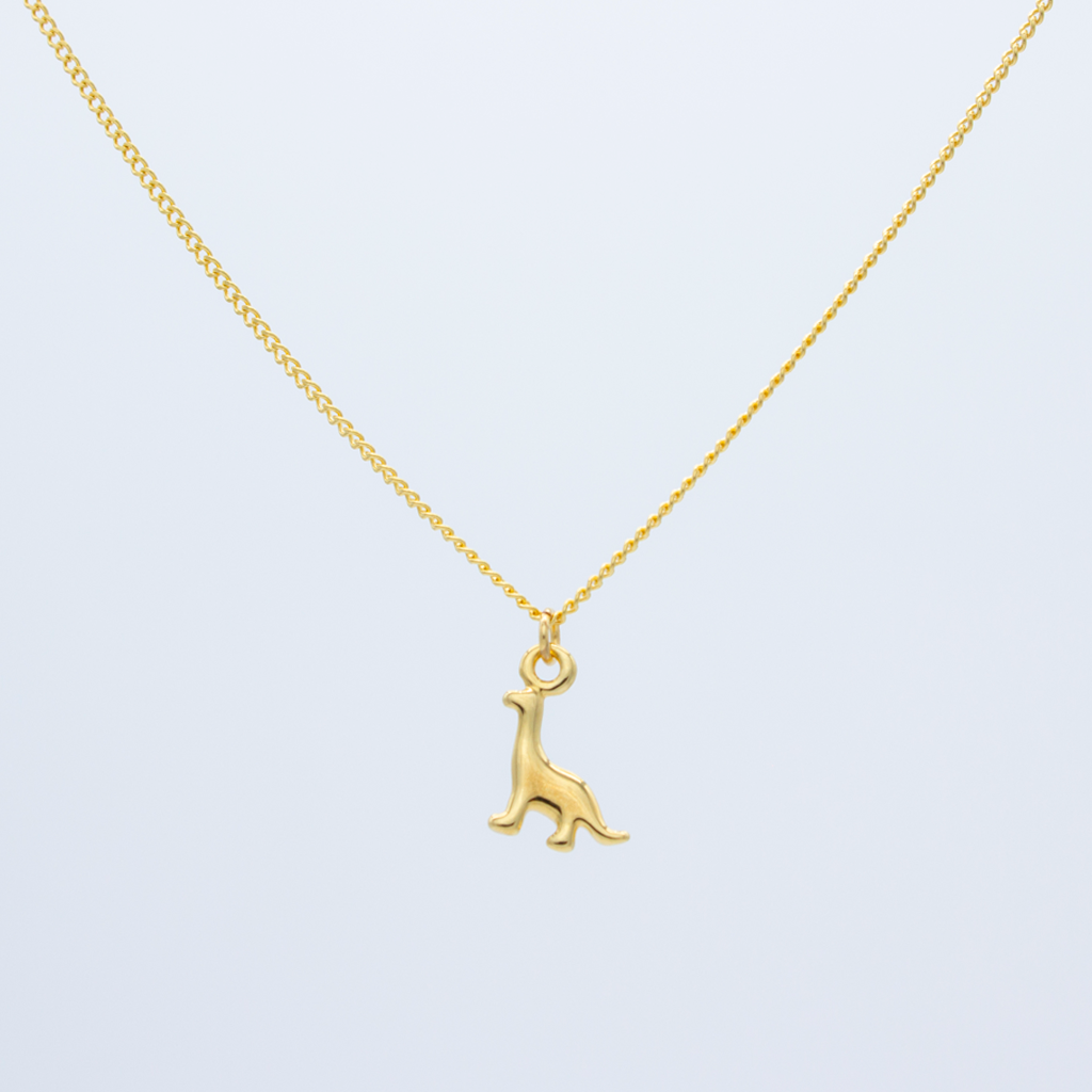 Collar de Dinosaurio