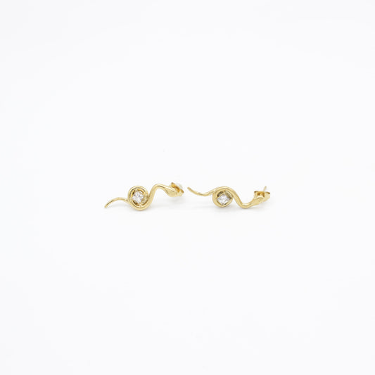 Broquel de Serpiente y Zirconia Acero