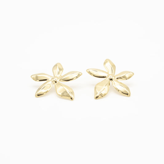 Arracadas de Flor Acero