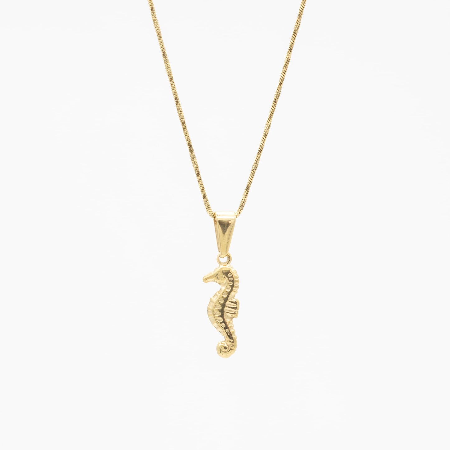 Collar de Caballito de Mar Acero