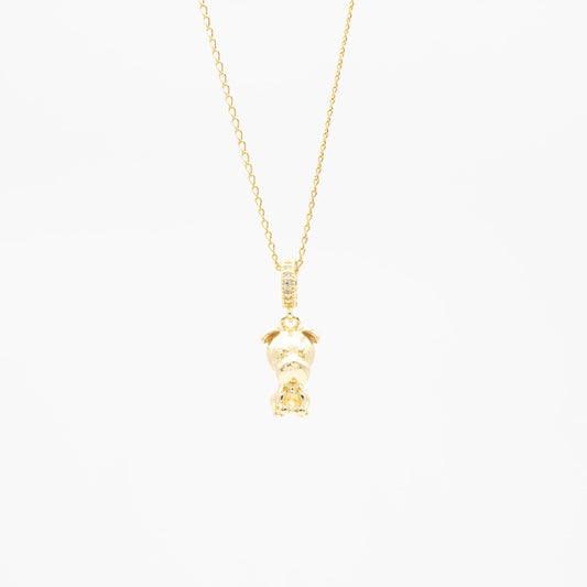 Collar de Schnauzer con Zirconia Chapa