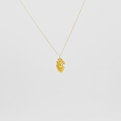 Collar de Corazón Anatómico