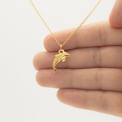 Collar de Delfín