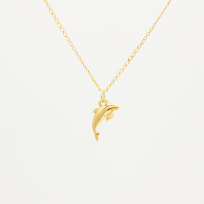 Collar de Delfín