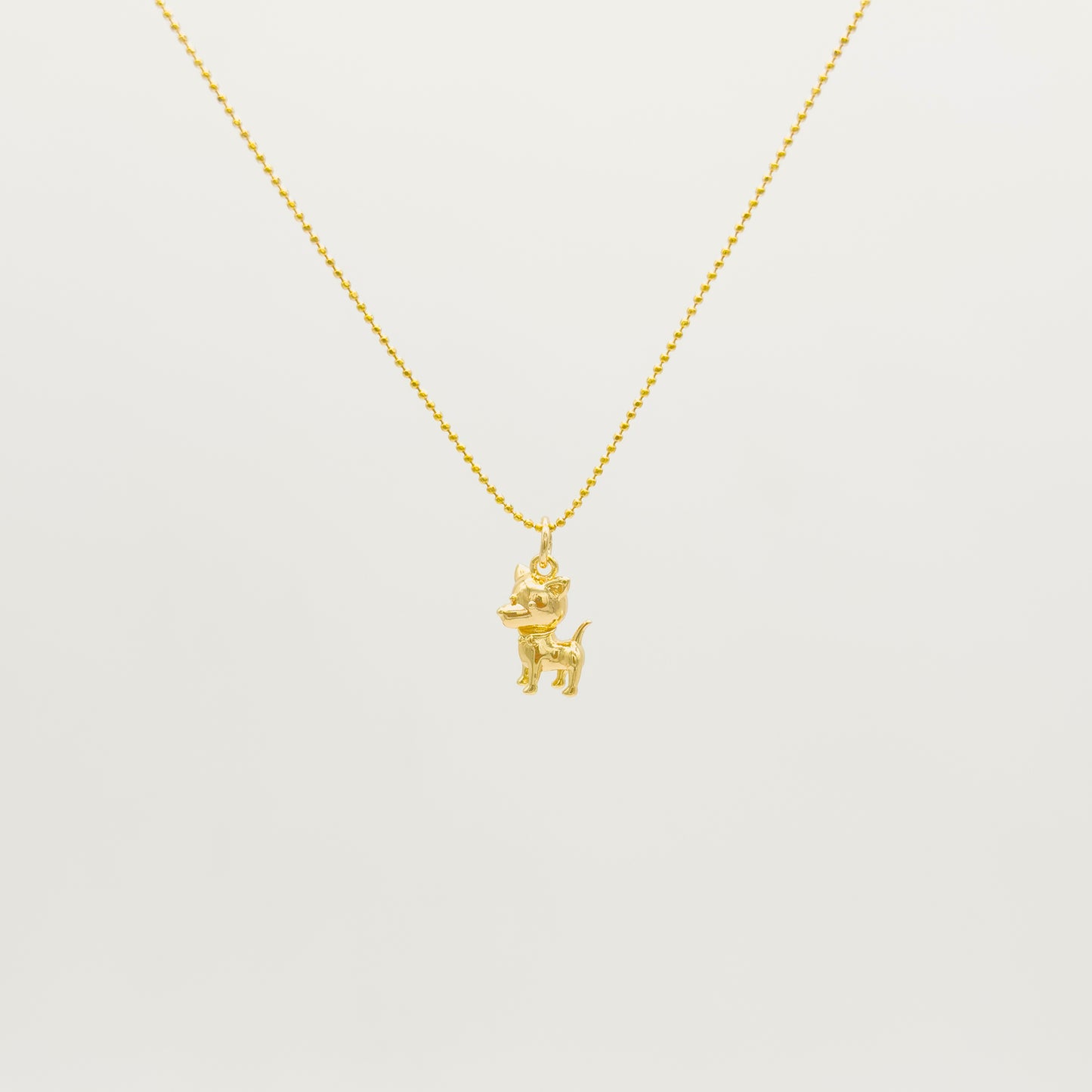 Collar de Perrito Chihuahua